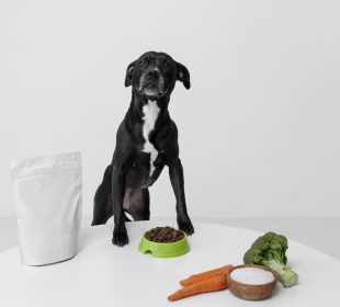 De Ce Câinii Refuză Anumite Tipuri de Mâncare: Explorarea Motivelor din Spatele Apatiei Alimentare