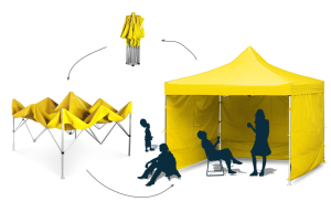 Care sunt cele mai bune plante pentru a face umbră într-un pavilion de grădină